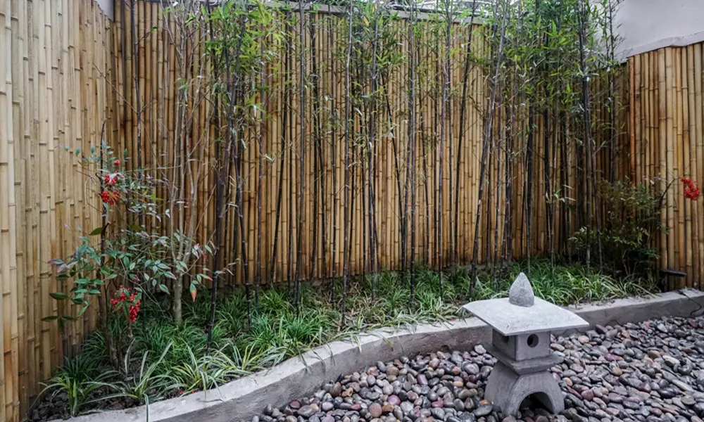 Yuanli Wafu Guesthouse, фото 5