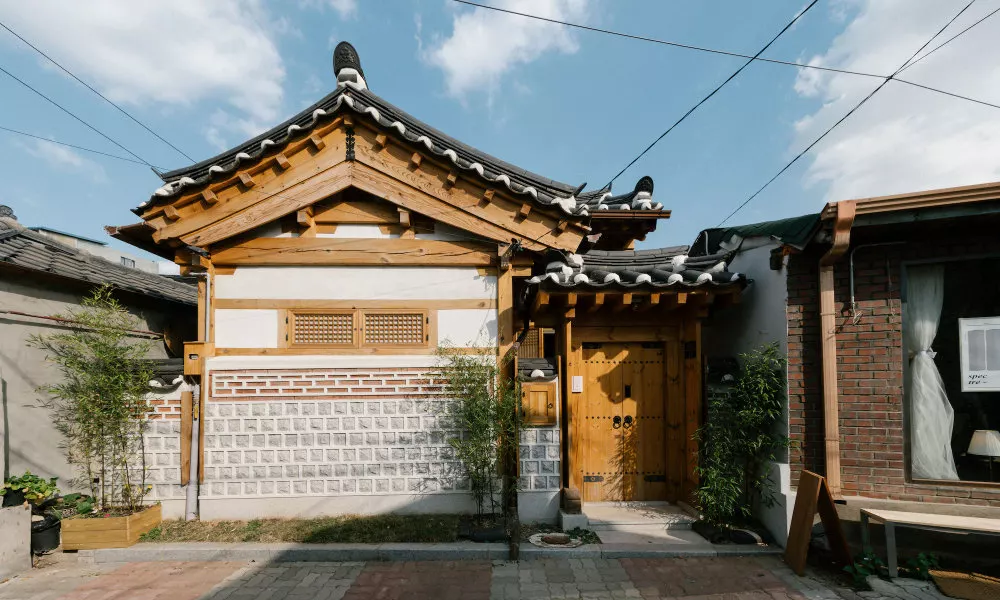 Adamhanok