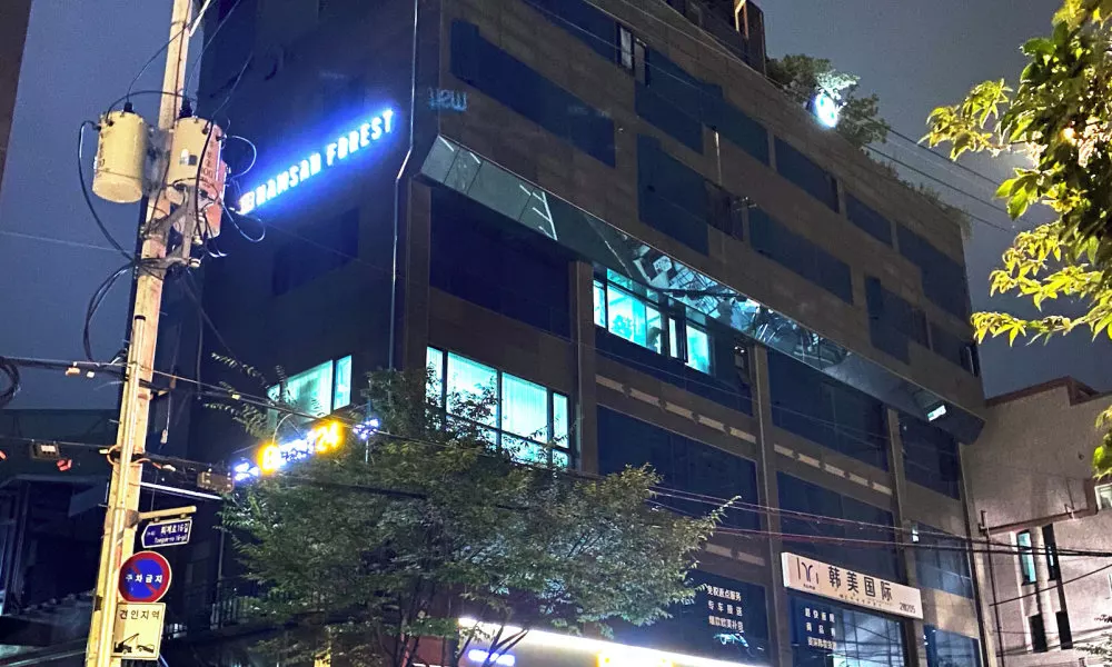 Namsan Forest Myeongdong Station