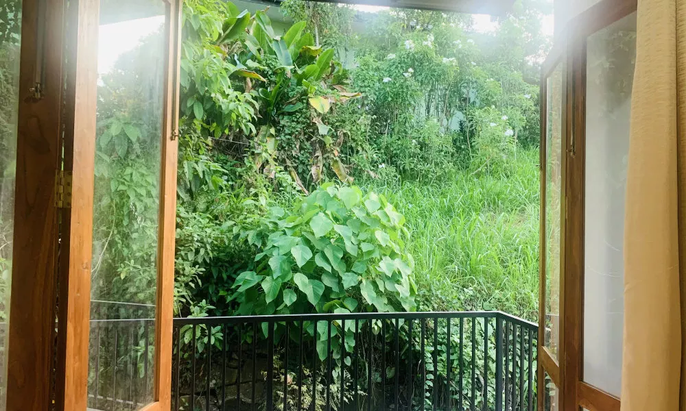Jungle City Hostel, фото 4