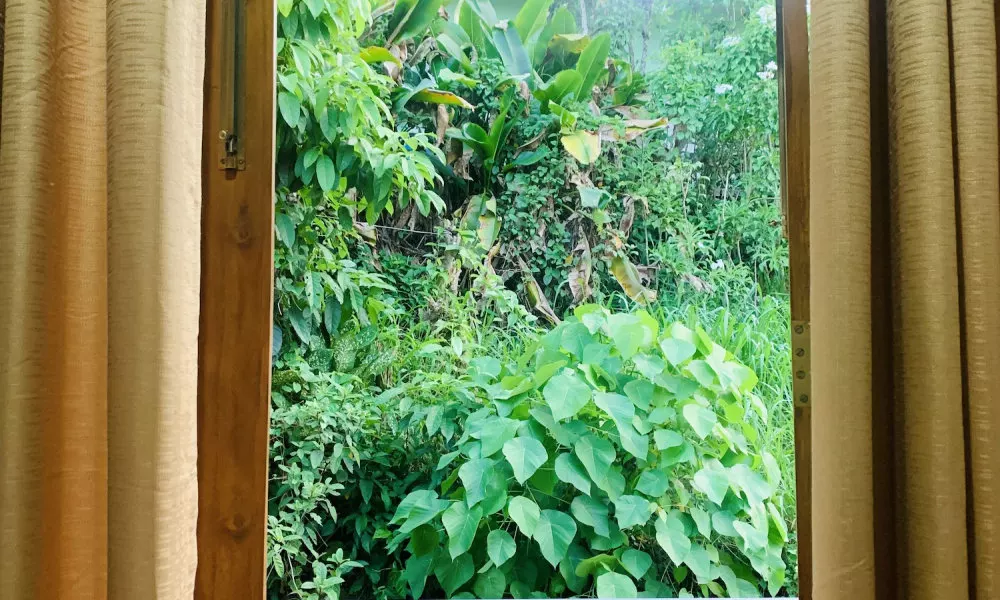 Jungle City Hostel, фото 3