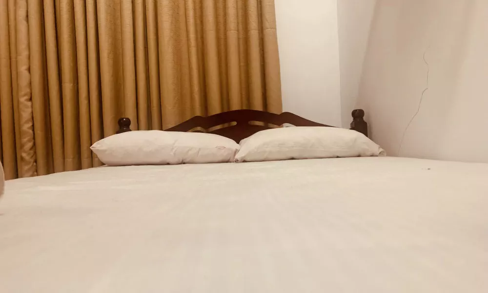 Jungle City Hostel, фото 2