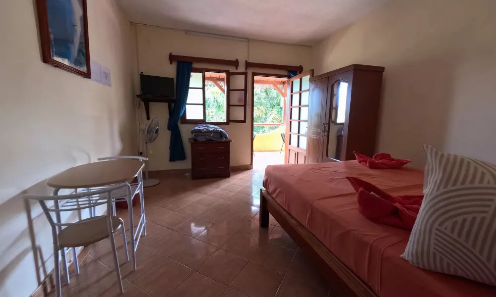 Le tropical Chez jeannette, фото 2