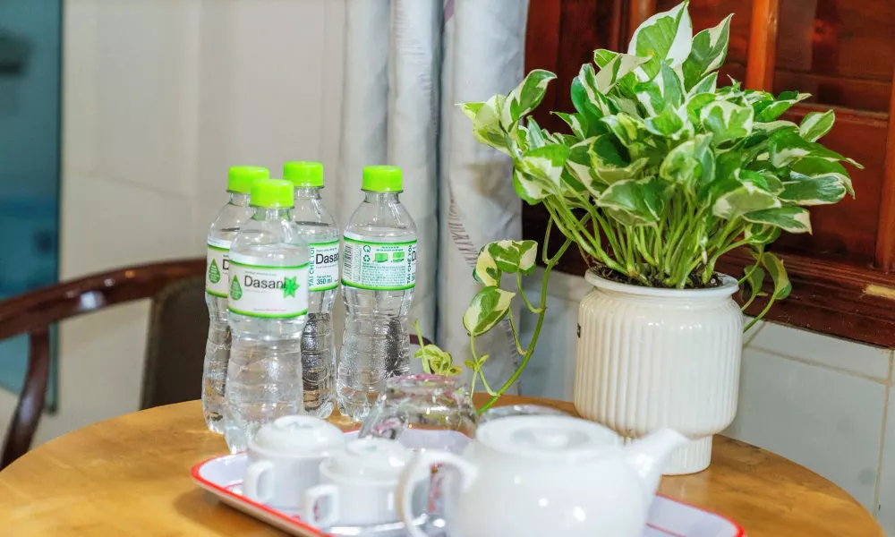 Green Bungalow Garden Resort, фото 4