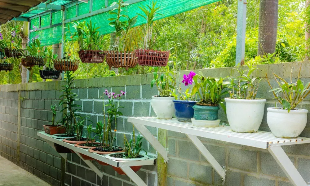 Bungalow Tài Phát