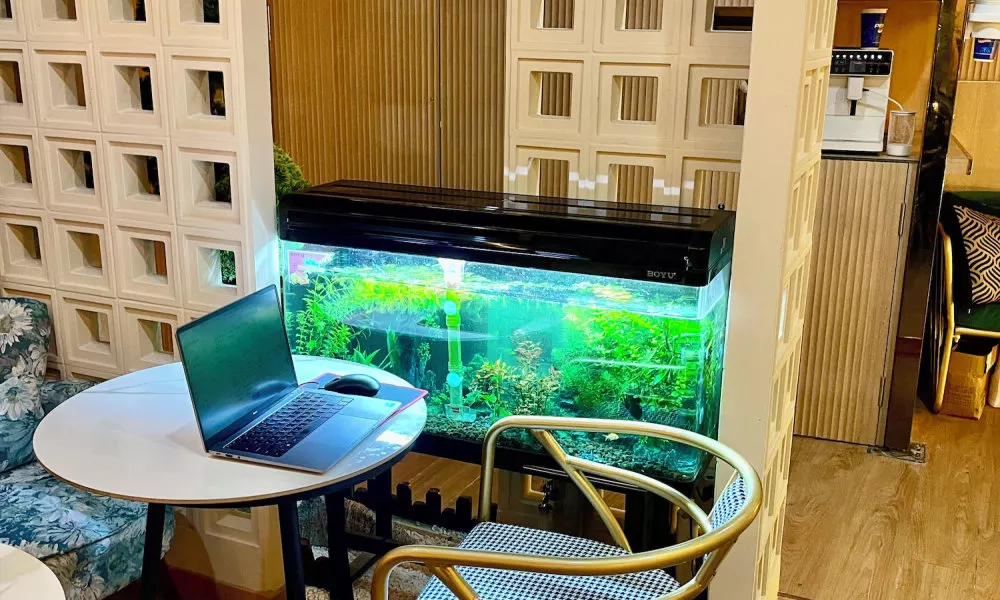 Shanghai Puyi Hotel, фото 4