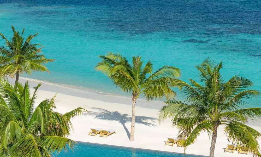 dusitD2 Feydhoo Maldives - All Inclusive Resort - with Free Transfers, фото 4