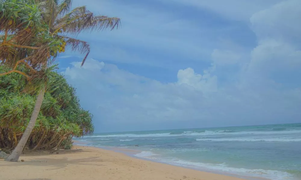 Blue Water Paradise Akurala, фото 3