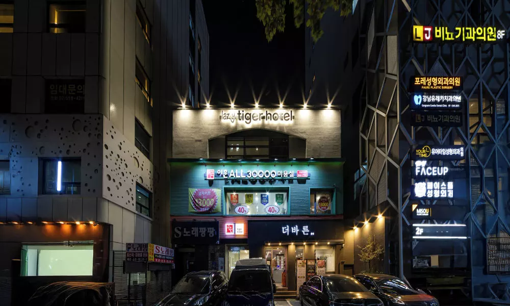 Lazy Tiger Hotel, фото 5
