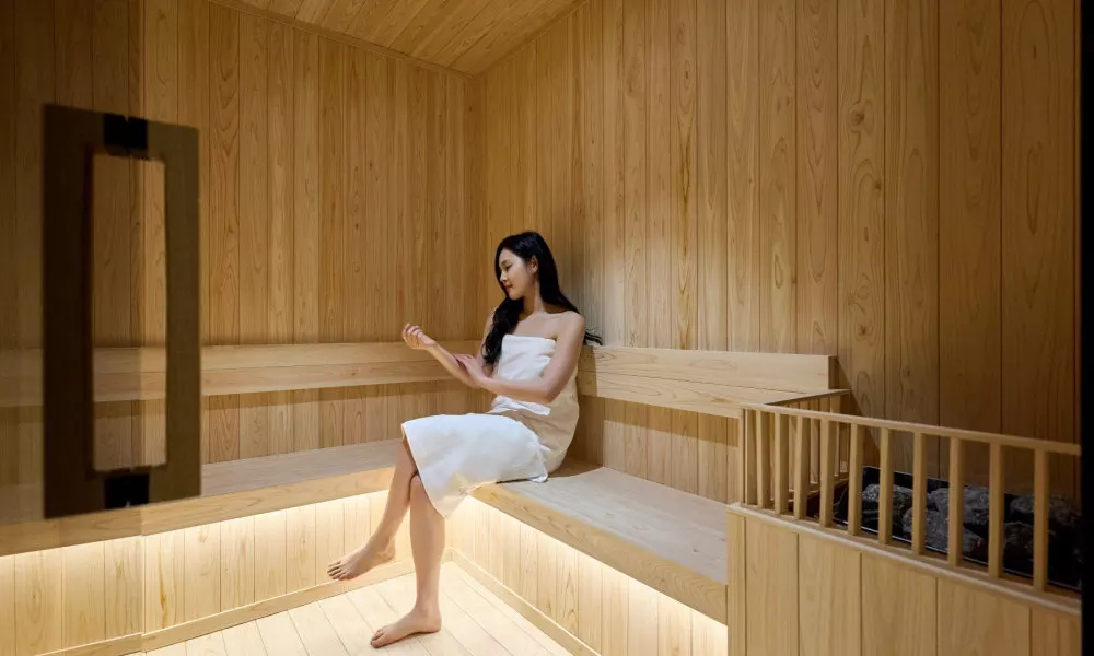 Anook Hotel & Spa Gangseo Hwagok, фото 4