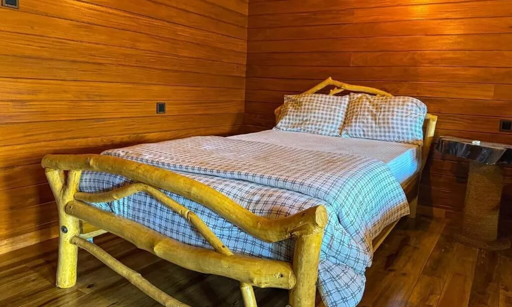Wooden Dream Ella, фото 3