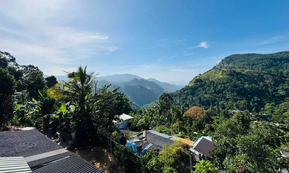 Nest of peak, фото 2