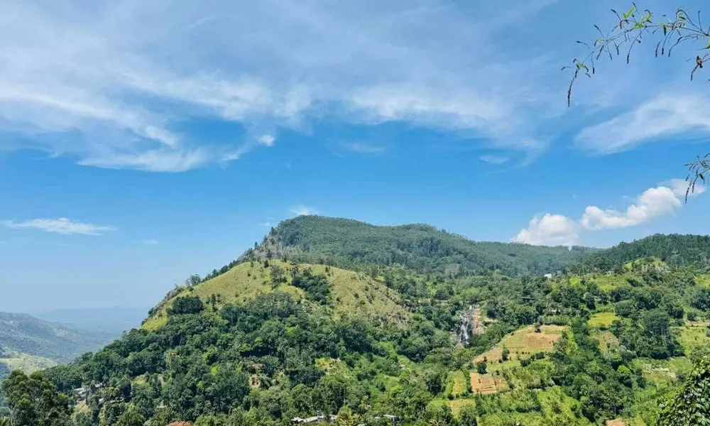 Nest of peak, фото 5