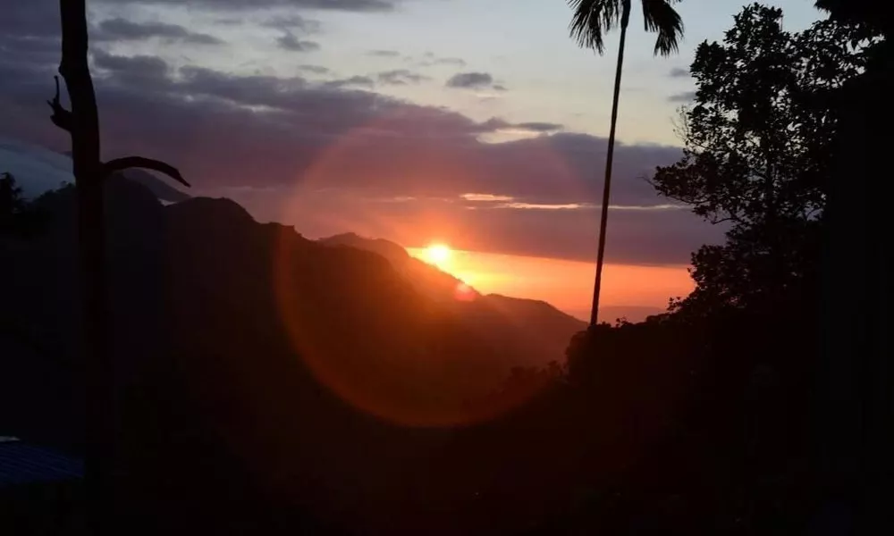 Mango shadow inn, фото 2