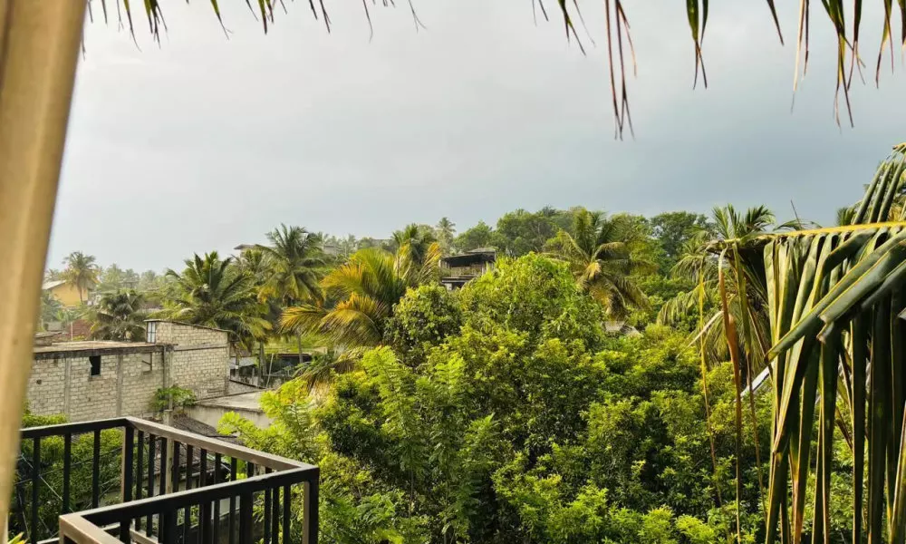 COCO house, фото 2