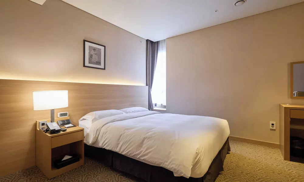 Summit Hotel Seoul Dongdaemun, фото 2