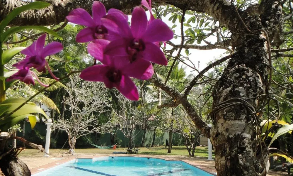 Ypsylon Tourist Resort, фото 5