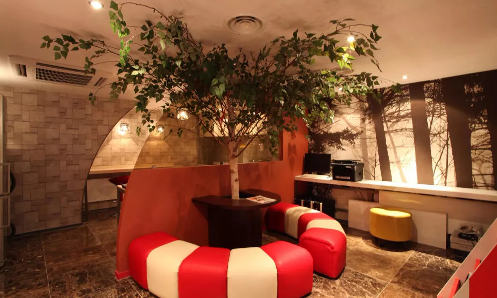 Fox Hotel, фото 4