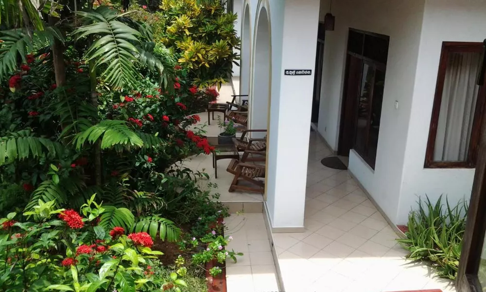 Tandem Guesthouse, фото 2