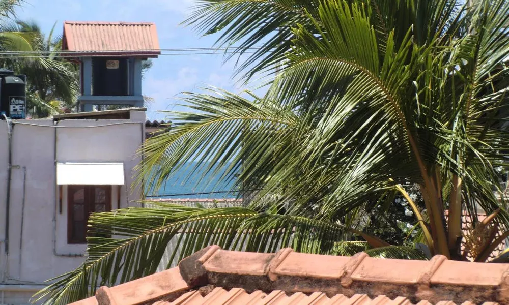 The Oasis Villa, фото 4