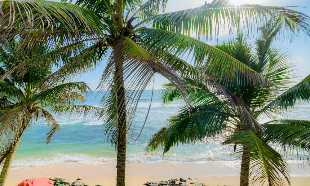 Royal Beach Hotel Hikkaduwa, фото 2