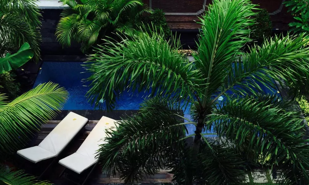 Tanjung Sari Inn, фото 5