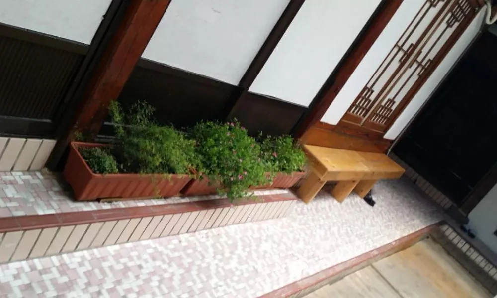 ICOS Guesthouse 1 (Female only), фото 3