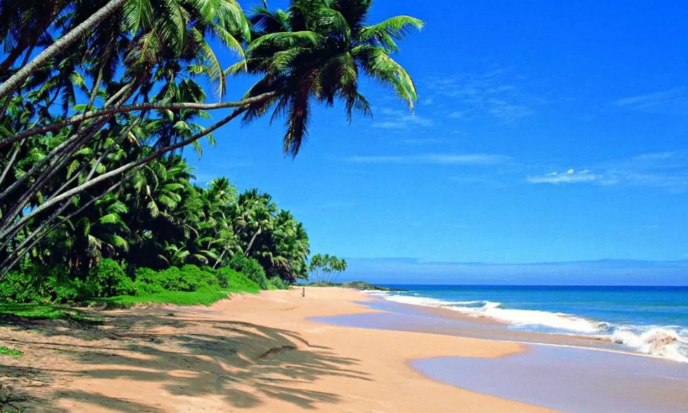 Island Breeze