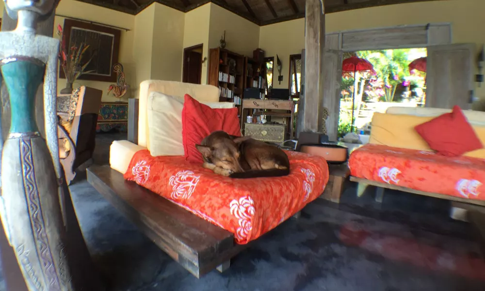 Villa Anjing, фото 4