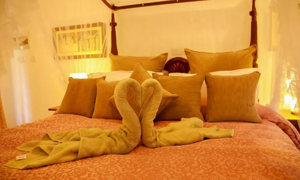 Morning Star Guest House