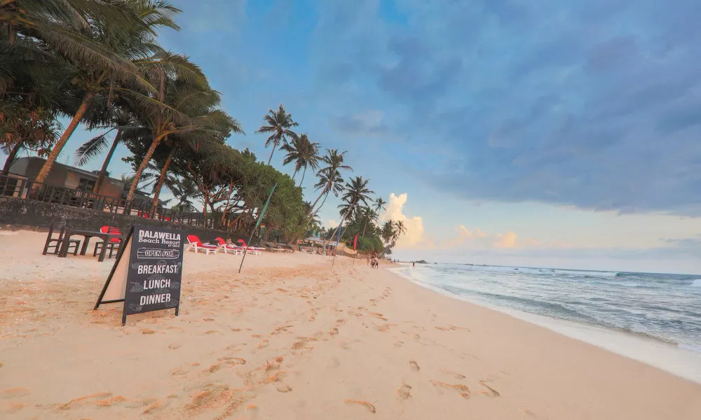 Dalawella Beach Resort, фото 4