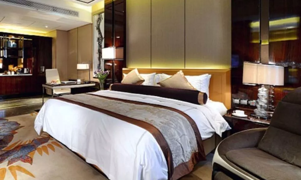 Totem Platinum Hotel, фото 2
