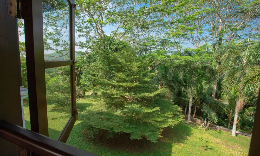 Niyagama House, фото 4