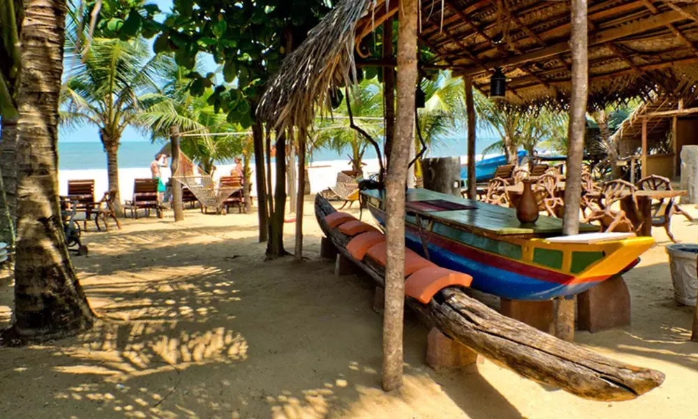The Beach Lodge, фото 4