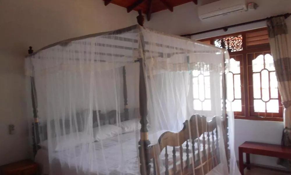 Accoma Villa, фото 3