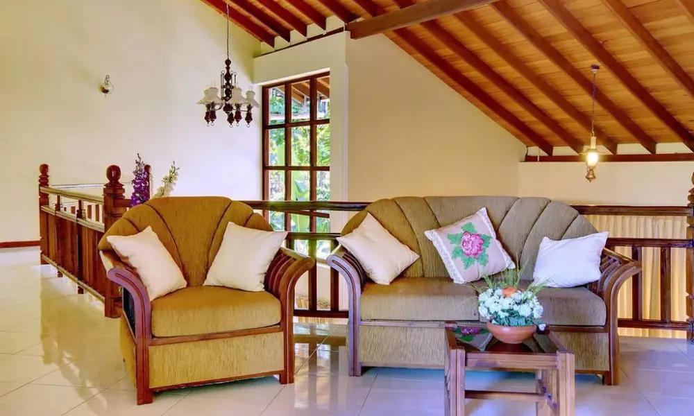 Sandul Villa, фото 3