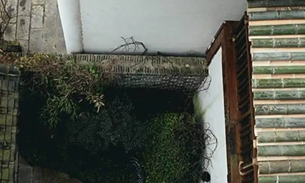 Guanshanyue Youdoudou Inn, фото 2