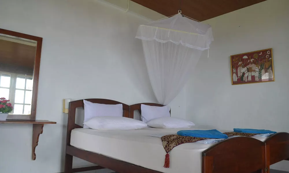 Hotel Paradiso, фото 3