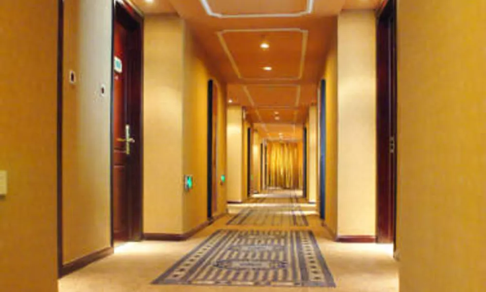 Vienna Hotel Airport Branch, фото 4