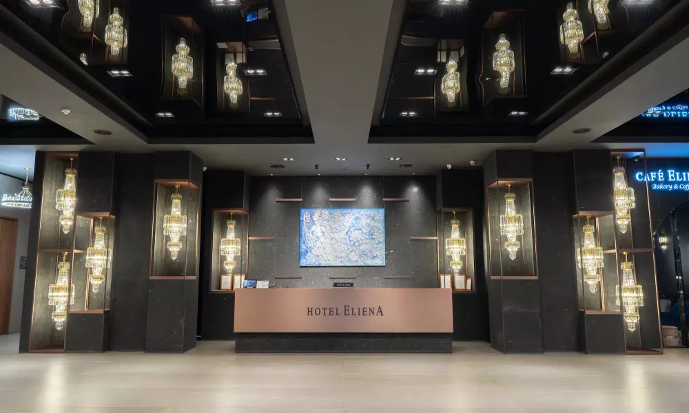 ELIENA HOTEL SEOUL GANGNAM, фото 5