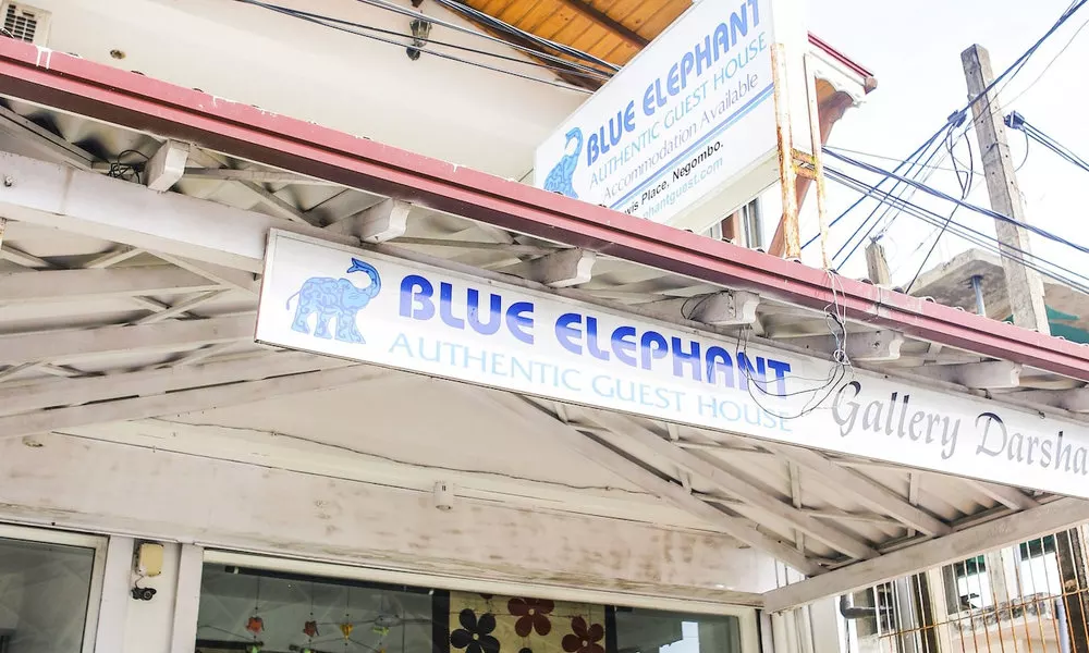 Blue Elephant Guest House, фото 4