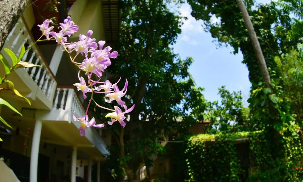 Sea Breeze Guest house, фото 5