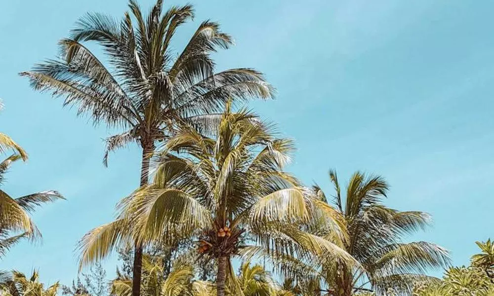 OUTRIGGER Mauritius Beach Resort