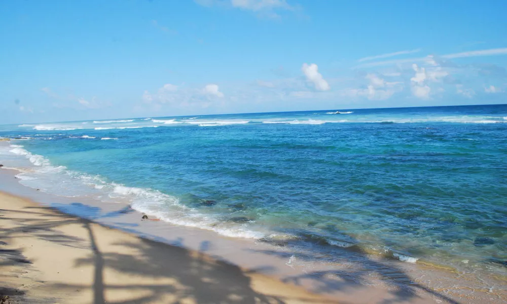 Paradise Beach Resort, фото 5