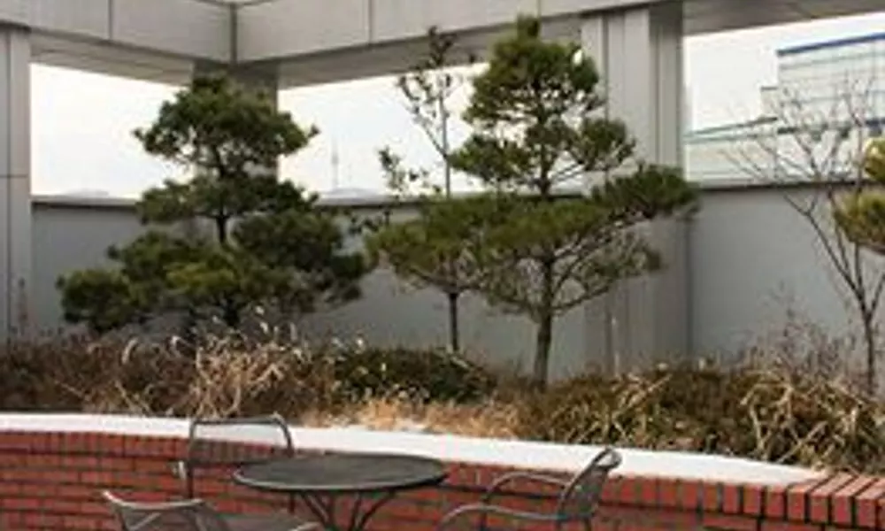 Studio Tong Seoul Dongdaemun, фото 5