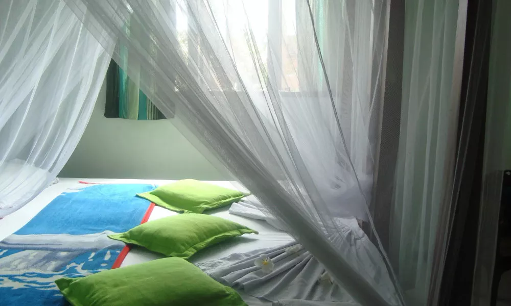 Fort Inn Guest House, фото 2