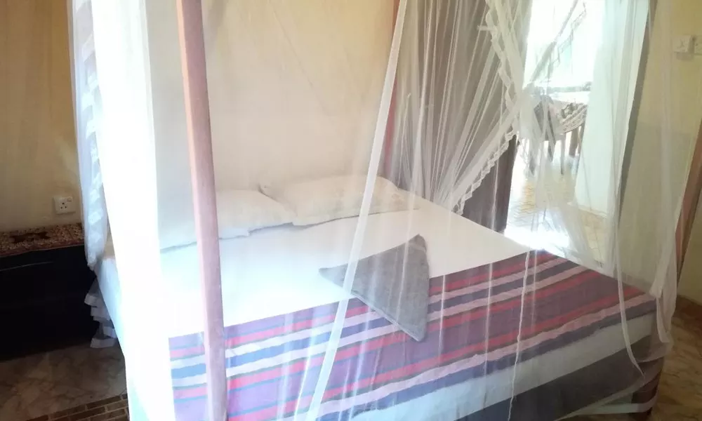 Vizzava Villa, фото 5