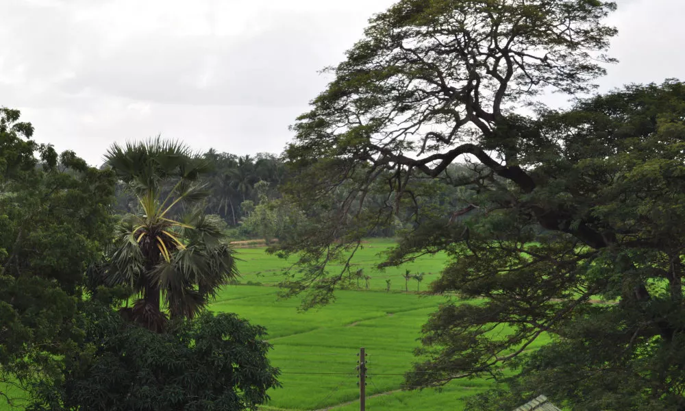 Nilketha Villa Eco Hotel, фото 2