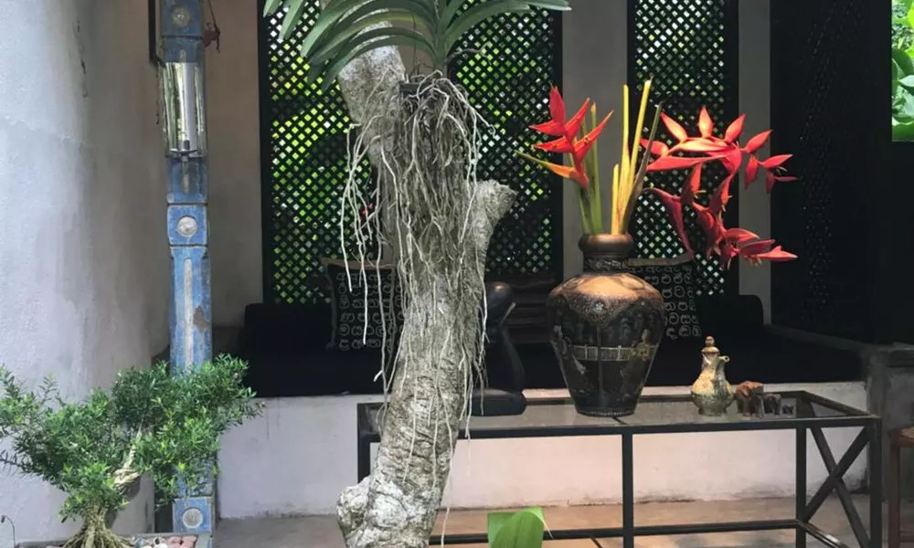 Indika's Residence, фото 5