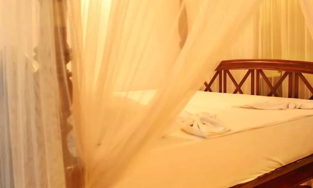 Full Moon Resort